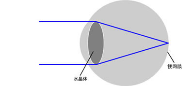 眼睛的調(diào)節(jié)與集合